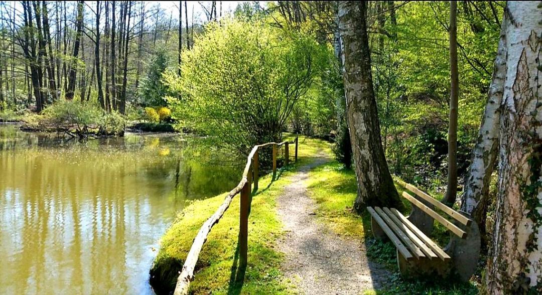 Ferienwohnung Am Waldsee Mit Schwimmbad Гернсбах Экстерьер фото