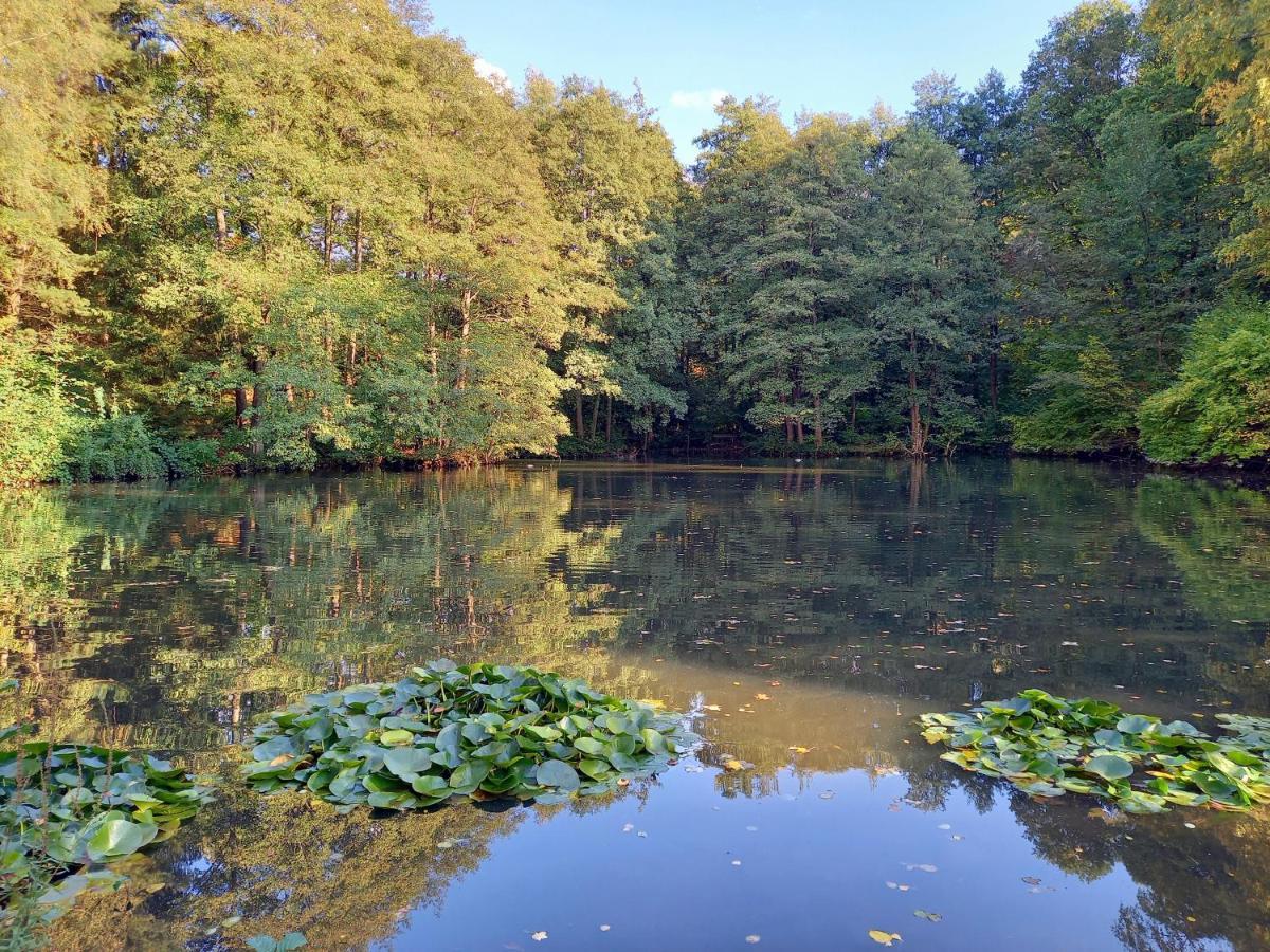 Ferienwohnung Am Waldsee Mit Schwimmbad Гернсбах Экстерьер фото