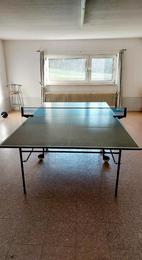 Ferienwohnung Am Waldsee Mit Schwimmbad Гернсбах Экстерьер фото